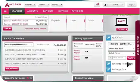 Axis Mobile App Interface